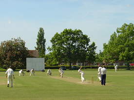 Little Bardfield Cricket Club